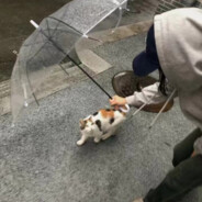 别和奇怪的我说话