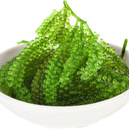 Sea Grapes Enthusiast avatar