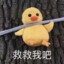 这局我要赢