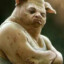 Salmonelo