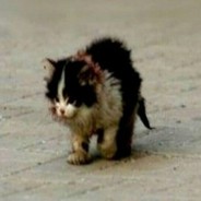 дал 0, пушим