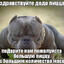 шотнул хуем