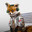 Fox McCock