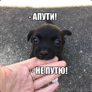 Севоловод Говнидцкий