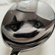 Lamber - steam id 76561199829712366