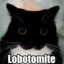 Lobotomite