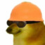 engi cheems