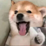 唯有一剑斩苍穹