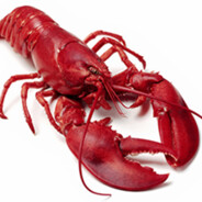 lobster