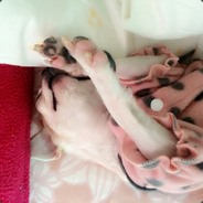 猛男