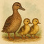 duck the big sister ®