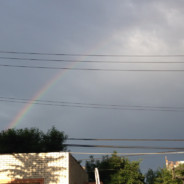 唐伯虎怒点红塔山