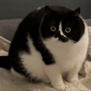 fillmore - steam id 76561198157553902