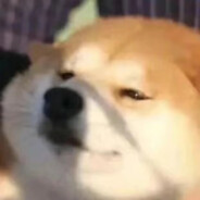 西伯利亚挖土豆