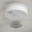 African Ceiling Bird