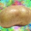 The Worst Potato on Earth