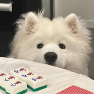 长得又帅想的还美