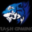 Flash Gaming