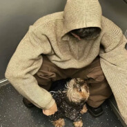 落地立马倒地 激发队友潜力