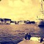 Mayhen