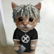 Teen KittenMILKx