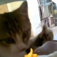 阿姆斯特丹屠夫