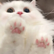 你会炒菜吗，我炒你学