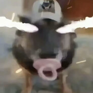  ⋛⋋毛之神⋌⋚ 