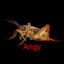 rageing cricket 20