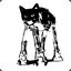 CAT_CAT