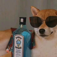 我与秋风皆住客