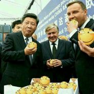没有梦想的咸鱼干