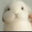 小白兔