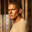 MICHAEL SCOFIELD