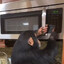 Chimp with a Microwave