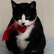 我的枪不会装弹药