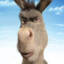 Donkey