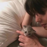 枯枝上的黑乌鸦