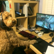 себался - steam id 76561199595537829
