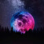 _Moon/shine_⁴²