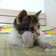 哦不不不别这样