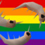 Runescape Shrimp