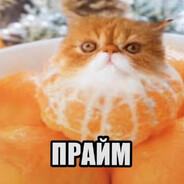 разработчик