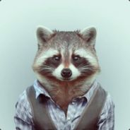 Raccoon Intellectual