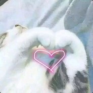 从零開始5秒钟被肥崽一炮轟死的the finals生活