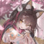大家的猫猫