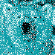 Polar