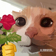 Markimoo