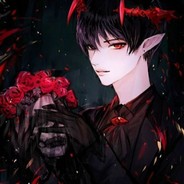 尼古拉斯-海飞丝·盛