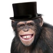 Bongo